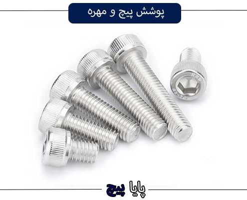 پوشش پیچ و مهره
